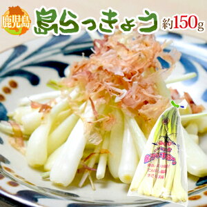  h傤h 150g 傫܂y\ 1ȍ~z