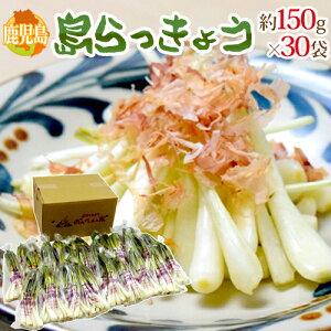  h傤h 150g×30 4.5kg 傫܂y\ 1ȍ~z 