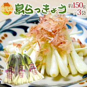  h傤h 150g×3 傫܂y\ 1ȍ~z