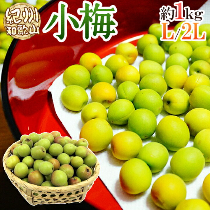 楽天市場】紀州・和歌山産 ”小梅” 秀品 L・2Lサイズ 約1kg【予約 5月中旬以降】 : くらし快援隊〜母の日父の日お中元