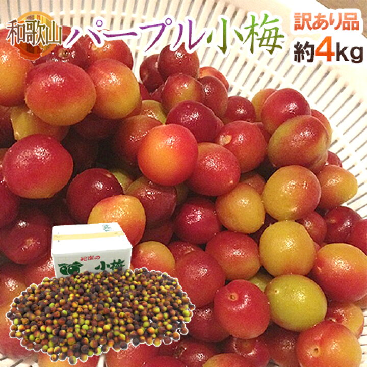 楽天市場】紀州・和歌山産 ”パープル小梅” 訳あり 約4kg 大きさおまかせ 紫小梅【予約 5月下旬以降】 送料無料 : くらし快援隊〜母の日父の日お中元