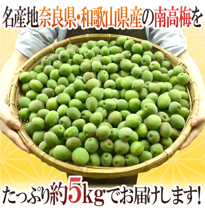 楽天市場】奈良・和歌山産 ”南高梅” ちょっと訳あり 約5kg 大きさ 