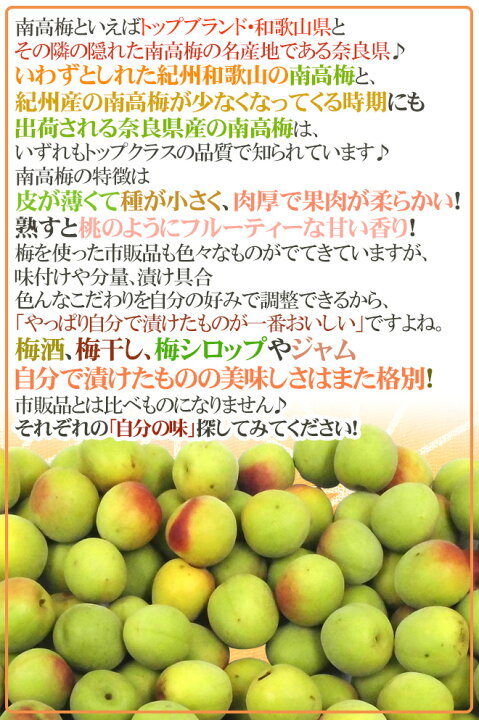 楽天市場】奈良・和歌山産 ”南高梅” ちょっと訳あり S/M 約10kg【予約 