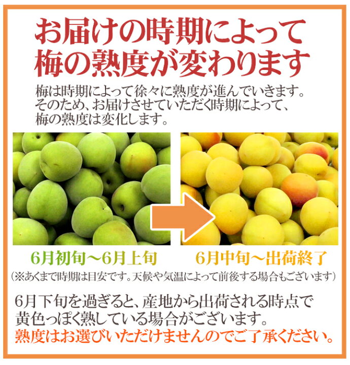 楽天市場】奈良・和歌山産 ”南高梅” ちょっと訳あり S/M 約10kg【予約 