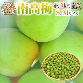 奈良・和歌山産 ”南高梅” ちょっと訳あり S/M 約5kg【予約 6月初旬以降】 送料無料