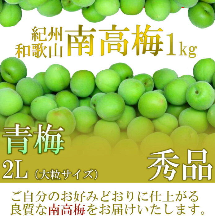 楽天市場】”紀州・和歌山産 南高梅 青梅” 秀品 2Lサイズ 約1kg《10キロ 