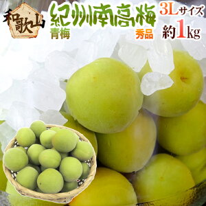 �h�I�B�E�a�̎R�Y �썂�~ �~�h �G�i 3L�T�C�Y ��1kg�s10�L���w���ő��������t�y�\�� 5�����{�ȍ~�z