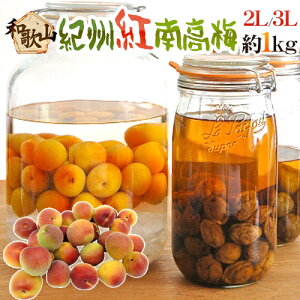 �h�I�B�E�a�̎R�Y �g�썂�~�h �G�i 2L�`3L ��1kg�s10�L���ȏゲ�w���ő��������t�y�\�� 5�����{�ȍ~�z