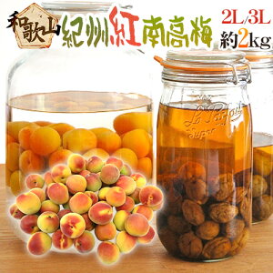 �h�I�B�E�a�̎R�Y �g�썂�~�h �G�i 2L�`3L ��3kg�y�\�� 5�����{�ȍ~�z ��������
