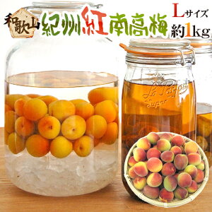 �h�I�B�E�a�̎R�Y �g�썂�~�h �G�i L ��1kg�s10�L���ȏゲ�w���ő��������t�y�\�� 5�����{�ȍ~�z
