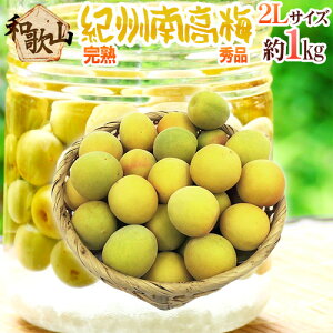 ���n �h�I�B�E�a�̎R�Y �썂�~�h �G�i 2L�T�C�Y ��1kg�s10�L���w���ő��������t�y�\�� 6���ȍ~�z