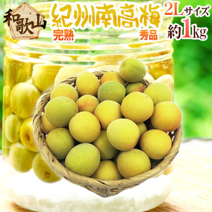 楽天市場】完熟 ”紀州・和歌山産 南高梅” 秀品 2Lサイズ 約1kg《10キロ 