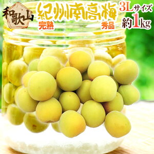 ���n �h�I�B�E�a�̎R�Y �썂�~�h �G�i 3L�T�C�Y ��1kg�s10�L���w���ő��������t�y�\�� 6���ȍ~�z