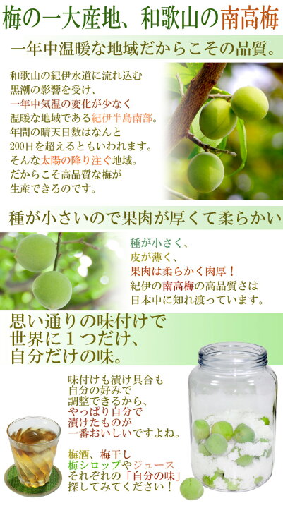 楽天市場】完熟 ”紀州・和歌山産 南高梅” 秀品 3Lサイズ 約1kg《10キロ 