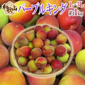 ”和歌山産 JA紀南 パープルキング” 秀品 L〜3L 約1kg 大梅 南高梅【予約 5月末以降】 送料無料