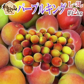 ”和歌山産 JA紀南 パープルキング” 秀品 L〜3L 約2kg 大梅 南高梅【予約 5月末以降】 送料無料