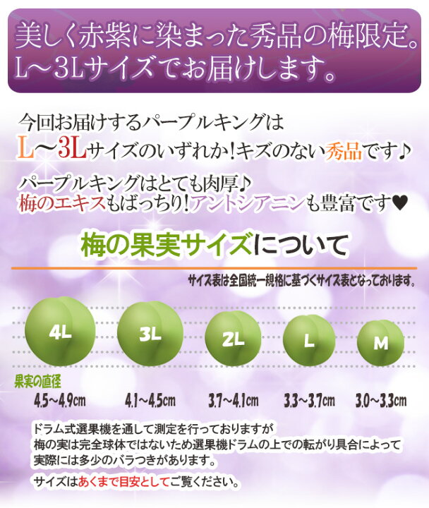 楽天市場】”和歌山産 JA紀南 パープルキング” 秀品 L〜3L 約5kg 大梅 