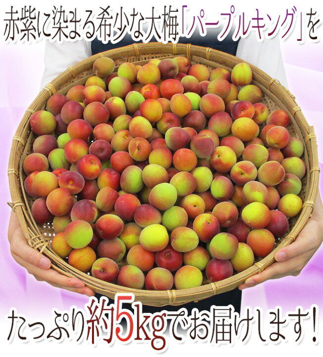 楽天市場】”和歌山産 JA紀南 パープルキング” 秀品 L〜3L 約5kg 大梅 