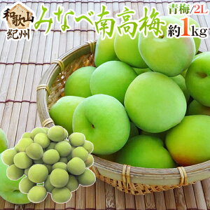 �h�I�B�E�a�̎R�Y �݂Ȃד썂�~ �~�h �G�i 2L ��1kg�s10�L���ȏゲ�w���ő��������t�y�\�� 5�����{�ȍ~�z