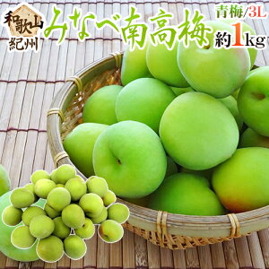 �h�I�B�E�a�̎R�Y �݂Ȃד썂�~ �~�h �G�i 3L ��1kg�s10�L���ȏゲ�w���ő��������t�y�\�� 5�����{�ȍ~�z