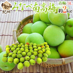 �h�I�B�E�a�̎R�Y �݂Ȃד썂�~ �~�h 3L ��2kg�y�\�� 5�����{�ȍ~�z ��������