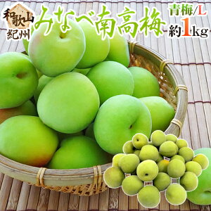 �h�I�B�E�a�̎R�Y �݂Ȃד썂�~ �~�h �G�i L ��1kg�s10�L���ȏゲ�w���ő��������t�y�\�� 5�����{�ȍ~�z