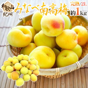�h�I�B�E�a�̎R�Y �݂Ȃד썂�~ �n�~�h �G�i 2L ��1kg�s10�L���ȏゲ�w���ő��������t�y�\�� 6���ȍ~�z