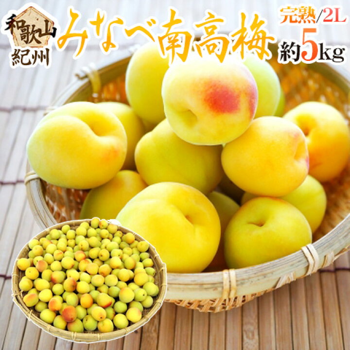 楽天市場】”紀州・和歌山産 みなべ南高梅 熟梅” 秀品 2L 約5kg【予約 6 