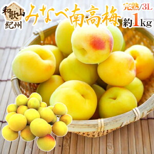 �h�I�B�E�a�̎R�Y �݂Ȃד썂�~ �n�~�h �G�i 3L ��1kg�s10�L���ȏゲ�w���ő��������t�y�\�� 6���ȍ~�z