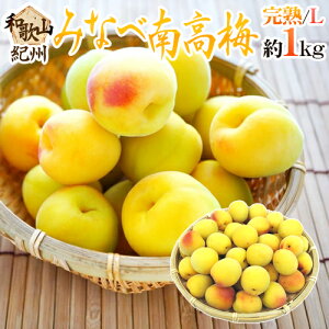 �h�I�B�E�a�̎R�Y �݂Ȃד썂�~ �n�~�h �G�i L�T�C�Y ��1kg�s10�L���ȏゲ�w���ő��������t�y�\�� 6���ȍ~�z
