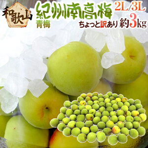 �h�I�B�E�a�̎R�Y �썂�~ �~�h ������Ɩ󂠂� 2L�`3L ��3kg�y�\�� 5�����{�ȍ~�z ��������
