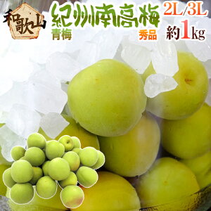 �h�I�B�E�a�̎R�Y �썂�~ �~�h �G�i 2L�`3L ��1kg�s10�L���ȏゲ�w���ő��������t�y�\�� 5�����{�ȍ~�z