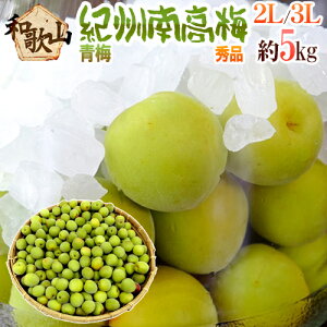 �h�I�B�E�a�̎R�Y �썂�~ �~�h �G�i 2L�`3L ��5kg�y�\�� 5�����{�ȍ~�z ��������