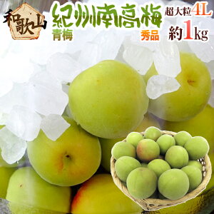 �h�I�B�E�a�̎R�Y �썂�~ �~�h �G�i 4L ��1kg�s10�L���ȏゲ�w���ő��������t�y�\�� 5�����{�ȍ~�z