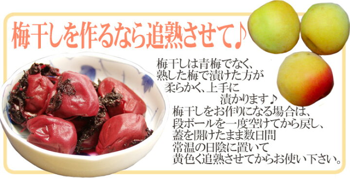 楽天市場】”紀州・和歌山産 南高梅 青梅” ちょっと訳あり 4L 約2kg 