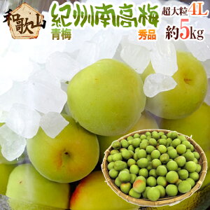 �h�I�B�E�a�̎R�Y �썂�~ �~�h �G�i 4L ��5kg�y�\�� 5�����{�ȍ~�z ��������