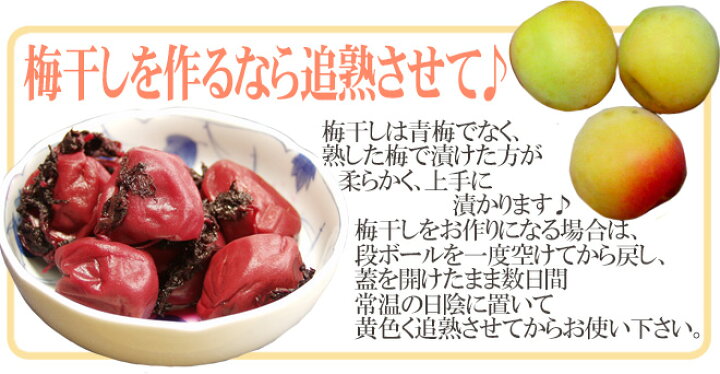 楽天市場】”紀州・和歌山産 南高梅 青梅” 秀品 4L 約5kg【予約 5月中旬 