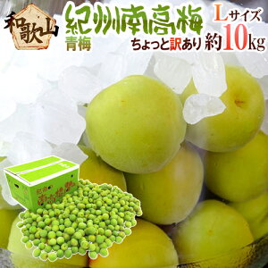 �I�B�E�a�̎R�Y �h�썂�~ �~�h ������Ɩ󂠂� L ��10kg�y�\�� 5�����{�ȍ~�z ��������