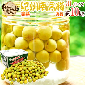 紀州・和歌山産 ”南高梅 完熟” 秀品 3L 約10kg【予約 6月以降】 送料無料