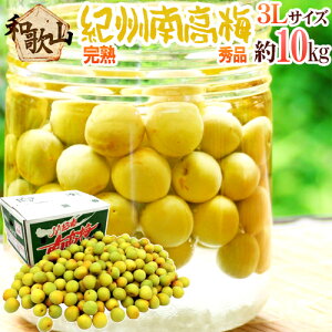 【送料無料】紀州・和歌山産 ”南高梅 完熟” 秀品 3L 約10kg【予約 6月以降】