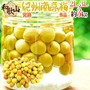 �h�I�B�E�a�̎R�Y �썂�~ ���n�h �G�i 2L�`3L ��3kg�y�\�� 6���ȍ~�z ��������