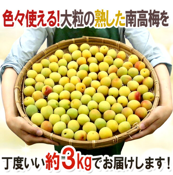 楽天市場】”紀州・和歌山産 南高梅 完熟” 秀品 2L〜3L 約3kg【予約 6月 