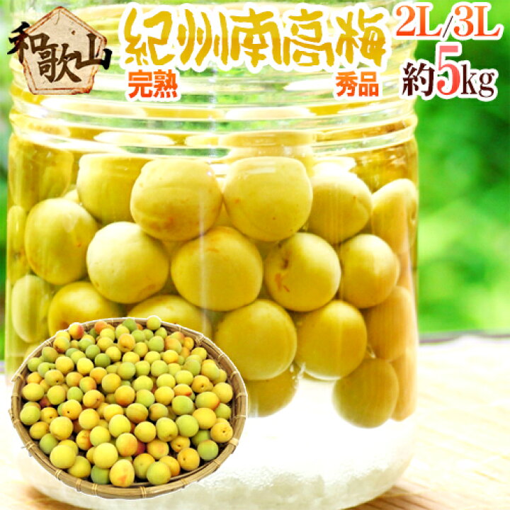 楽天市場】”紀州・和歌山産 南高梅 完熟” 秀品 2L〜3L 約5kg【予約 6月 