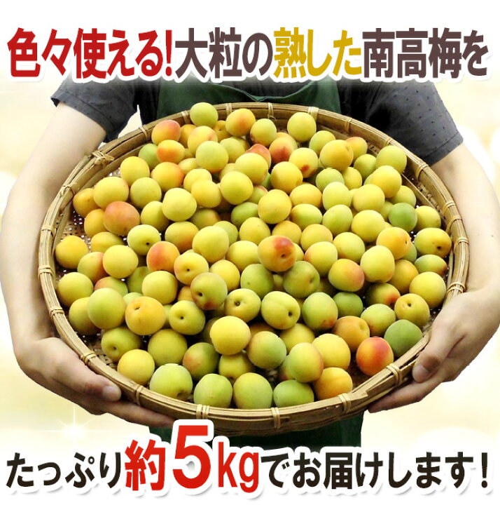 楽天市場】”紀州・和歌山産 南高梅 完熟” 秀品 2L〜3L 約5kg【予約 6月 