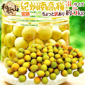 �h�I�B�E�a�̎R�Y �썂�~ ���n�h 3L ��5kg ������Ɩ󂠂�y�\�� 6���ȍ~�z ��������