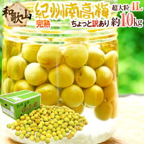 楽天市場】南高梅 完熟 4l 10kgの通販