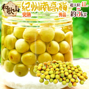 �h�I�B�E�a�̎R�Y �썂�~ ���n�h �G�i 4L ��5kg�y�\�� 6���ȍ~�z ��������