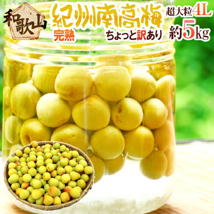 楽天市場】”紀州・和歌山産 南高梅 完熟” 4L 約5kg ちょっと訳あり 
