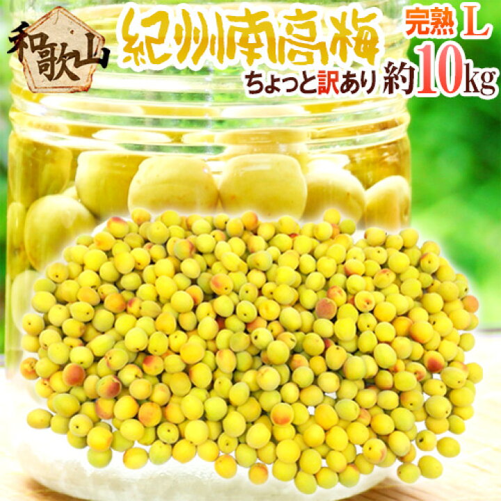 楽天市場】紀州・和歌山産 ”南高梅 完熟” L 約10kg ちょっと訳あり 
