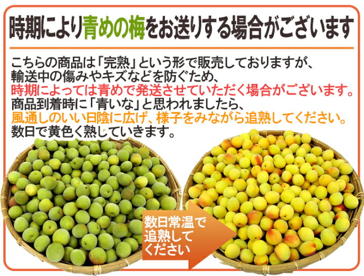 楽天市場】”紀州・和歌山産 南高梅 完熟” 4L 約5kg ちょっと訳あり